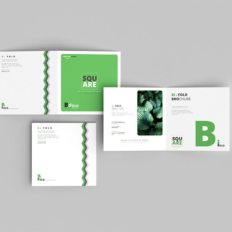 Custom Full Color Flyer Brochu - Commercial Flyer Printing recension och pris